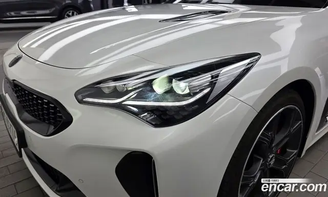 Kia Stinger 2019 2.0 АКПП, миниатюра 8