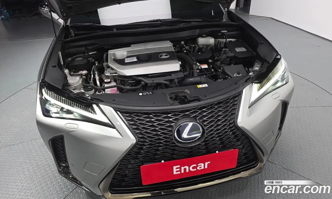 Lexus UX 2021 2.0 АКПП, фото 6 Lexus UX 2021 2.0 АКПП, фото 6
