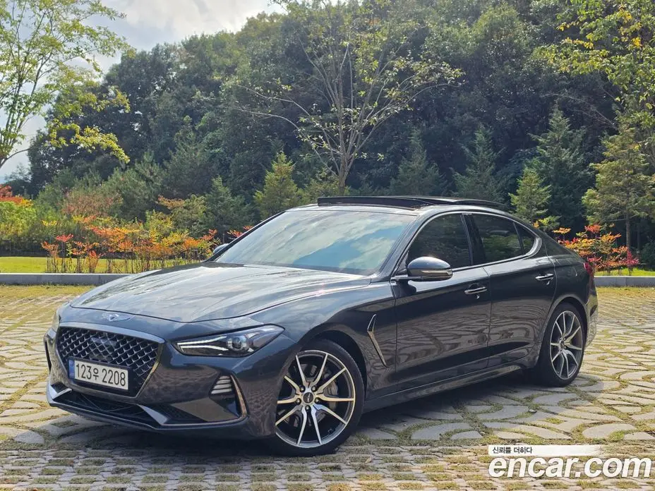 Genesis G70 2019 2.0 АКПП, фото 4