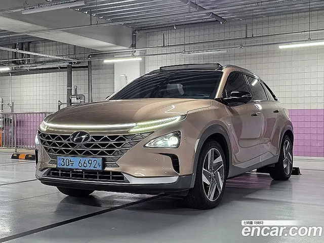 Hyundai Nexo, 2019, 73 713 км