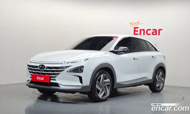 Hyundai Nexo, 2024, 16 819 км