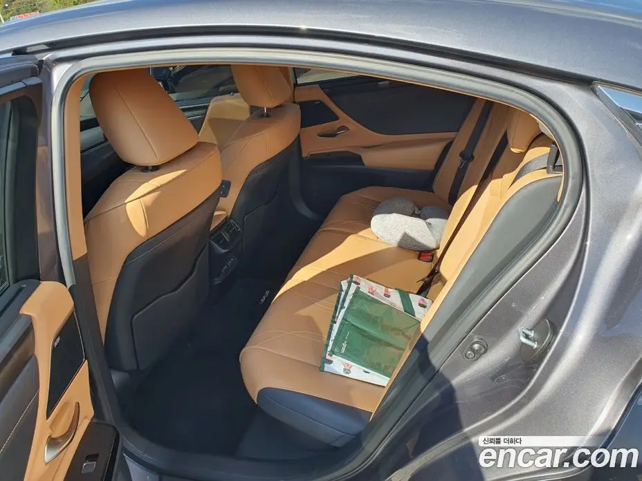 Lexus ES 2021 2.5 АКПП, фото 16