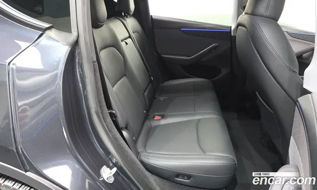 Tesla Model Y 2025 0.2 АКПП, миниатюра 12