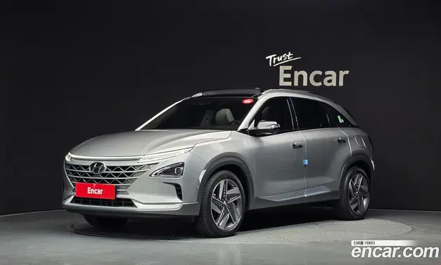 Hyundai Nexo, 2022, 48 513 км