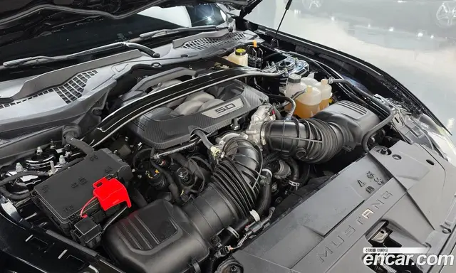 Ford Mustang 2024 5.0 АКПП, миниатюра 6