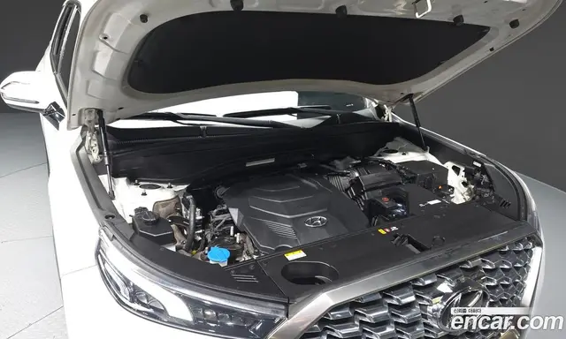 Hyundai Palisade 2019 3.8 АКПП, миниатюра 6