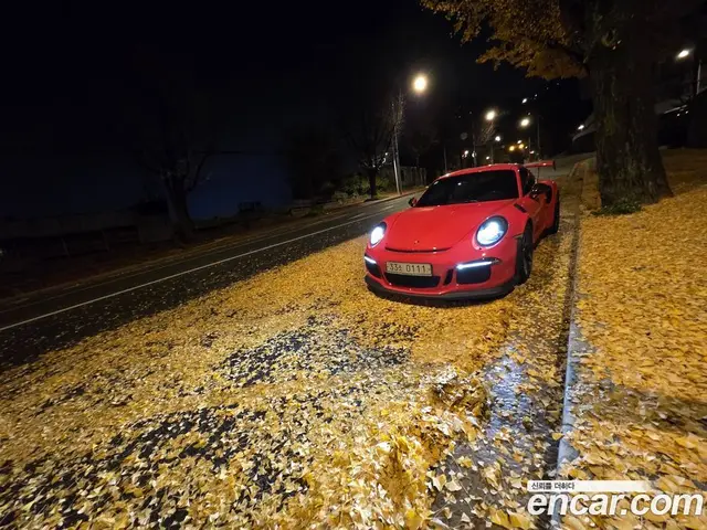 Porsche 911 2016 4.0 АКПП, миниатюра 12