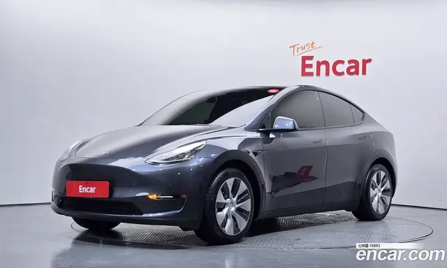 Tesla Model Y, 2021, 20 286 км