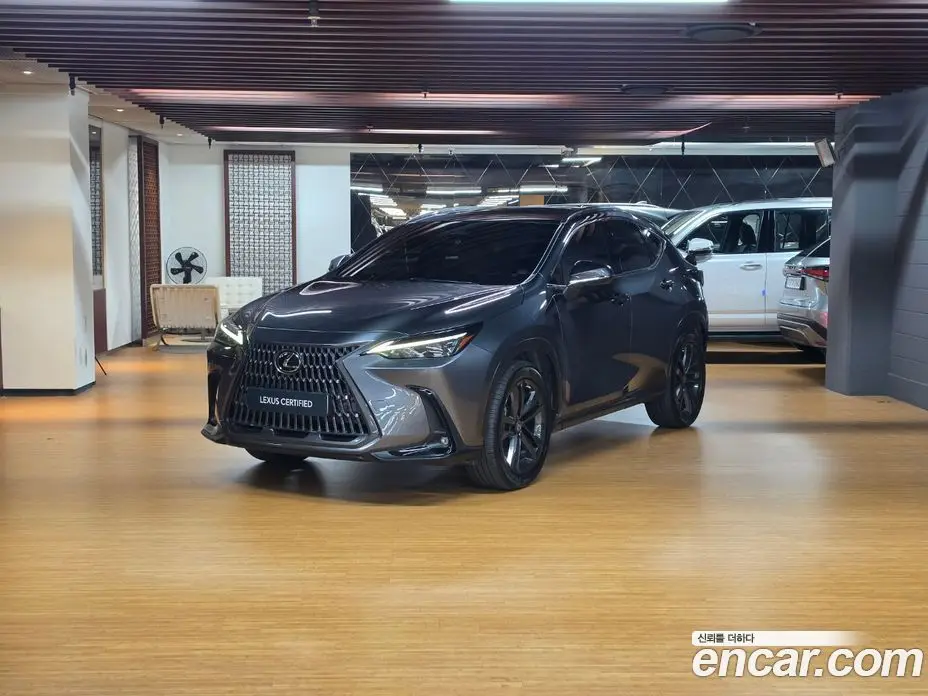 Lexus NX 2023 2.5 вариатор, фото 1 Lexus NX 2023 2.5 вариатор, фото 1