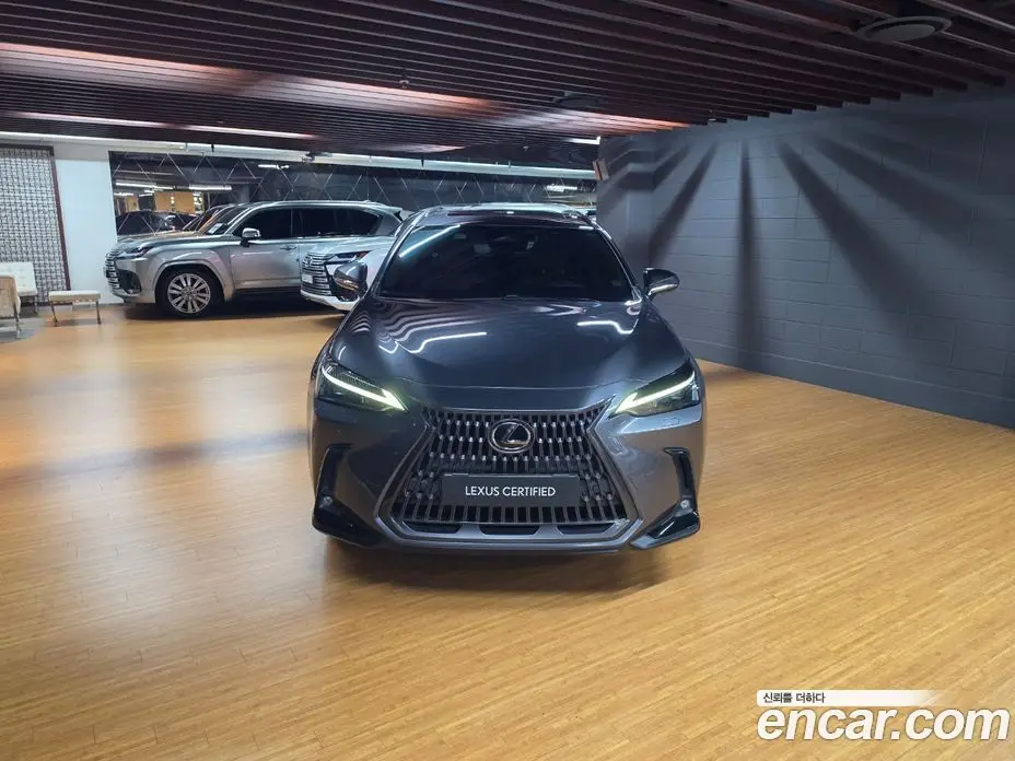 Lexus NX 2023 2.5 вариатор, фото 3 Lexus NX 2023 2.5 вариатор, фото 3