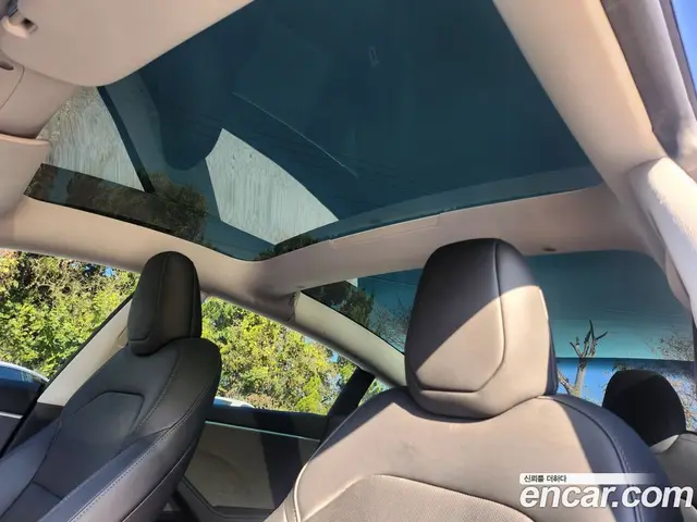 Tesla Model 3 2024 0.3 АКПП, миниатюра 11