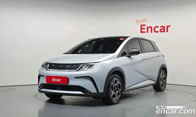 BYD Dolphin, 2026, 6 868 км