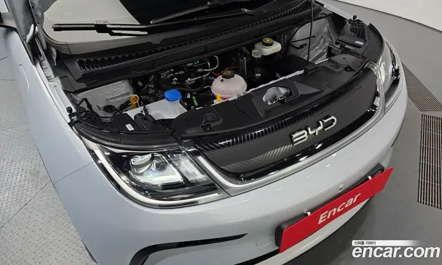 BYD Dolphin 2026 0.1 АКПП, миниатюра 6