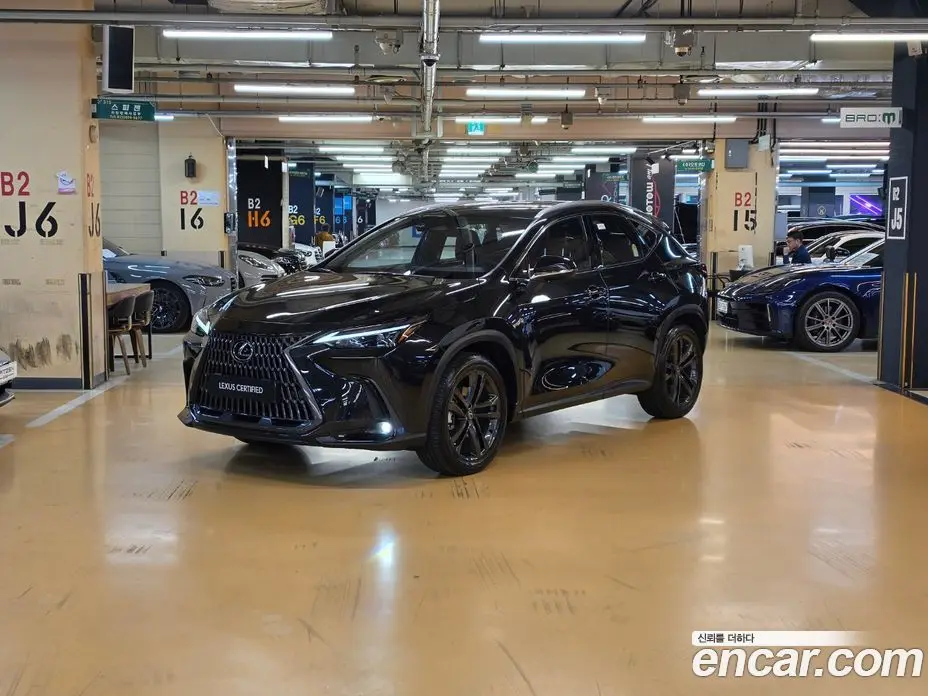 Lexus NX 2026 2.5 вариатор, фото 1 Lexus NX 2026 2.5 вариатор, фото 1
