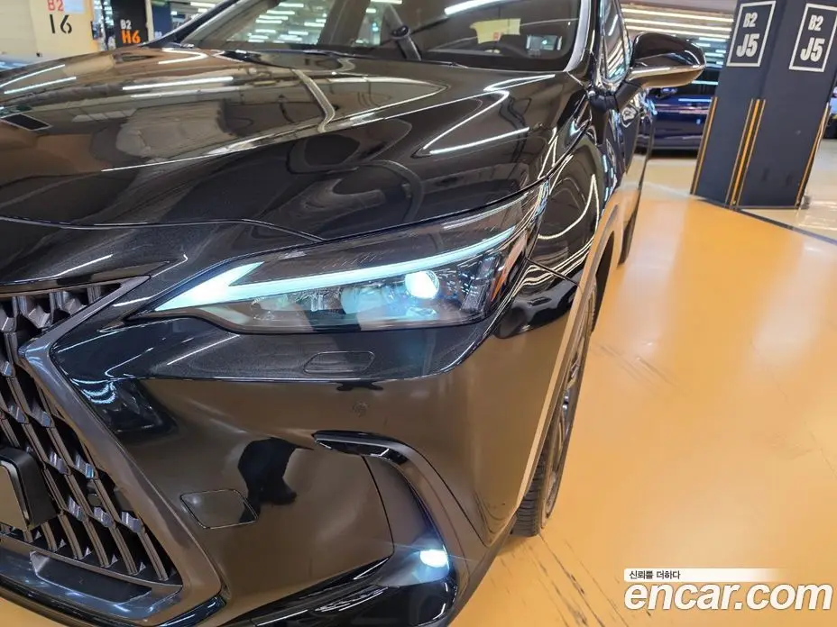 Lexus NX 2026 2.5 вариатор, фото 17 Lexus NX 2026 2.5 вариатор, фото 17
