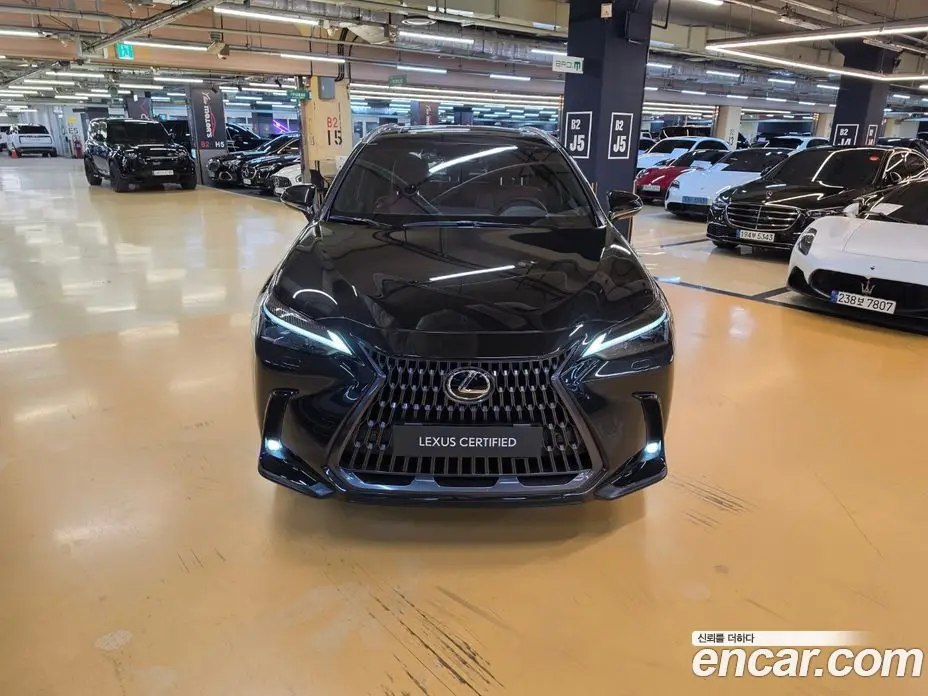 Lexus NX 2026 2.5 вариатор, фото 3 Lexus NX 2026 2.5 вариатор, фото 3
