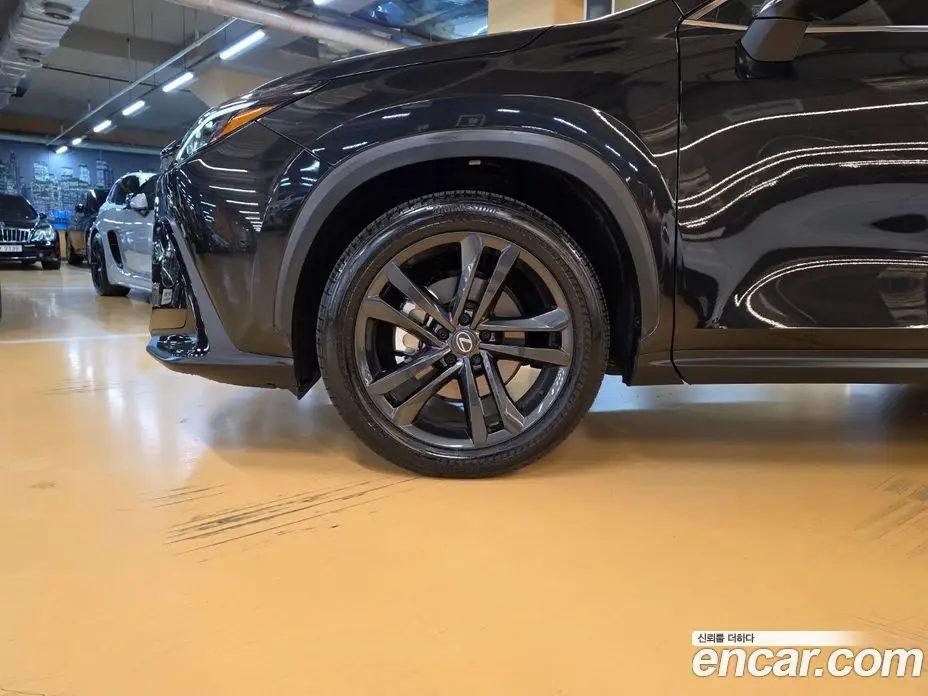 Lexus NX 2026 2.5 вариатор, фото 5 Lexus NX 2026 2.5 вариатор, фото 5