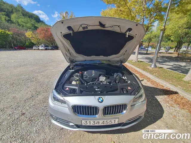 BMW 5 серия 2014 2.0 АКПП, миниатюра 5