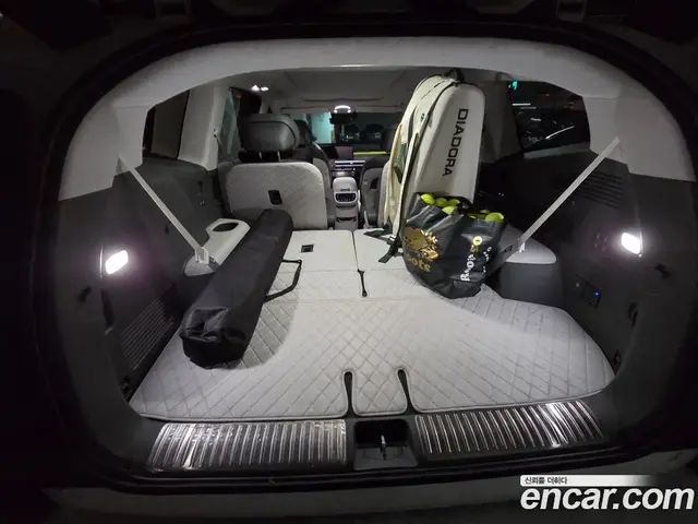 Hyundai Ioniq 9 2025 АКПП, миниатюра 2