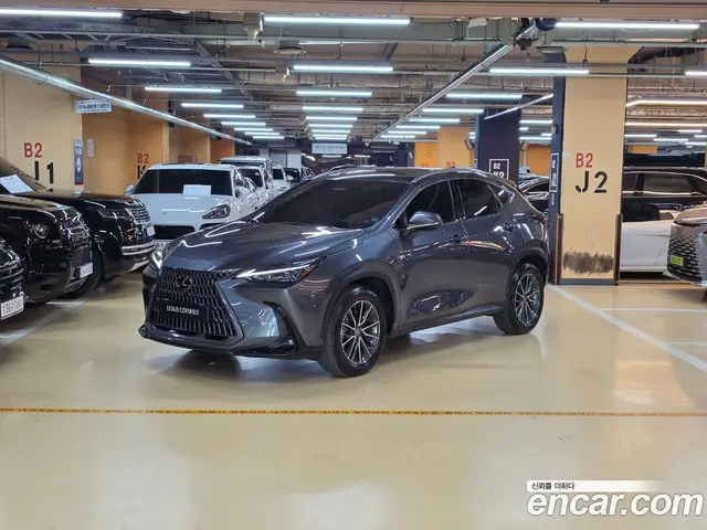 Lexus NX, 2023, 44 187 км