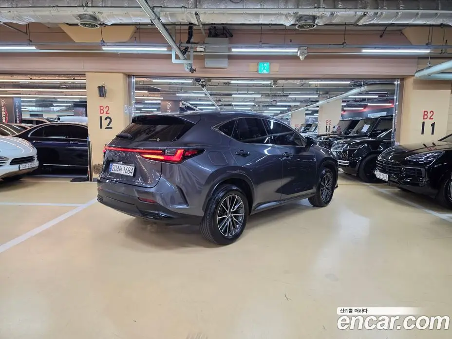 Lexus NX 2023 2.5 вариатор, фото 2 Lexus NX 2023 2.5 вариатор, фото 2