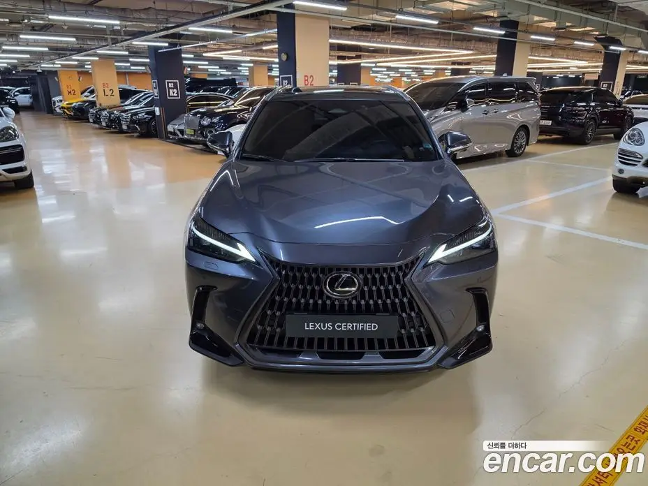 Lexus NX 2023 2.5 вариатор, фото 3 Lexus NX 2023 2.5 вариатор, фото 3