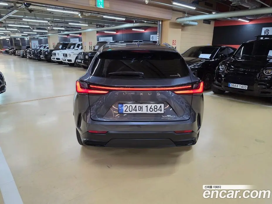 Lexus NX 2023 2.5 вариатор, фото 4 Lexus NX 2023 2.5 вариатор, фото 4