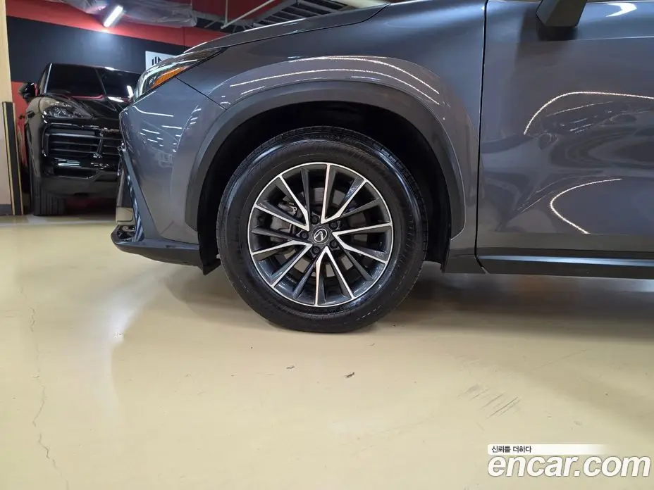 Lexus NX 2023 2.5 вариатор, фото 5 Lexus NX 2023 2.5 вариатор, фото 5