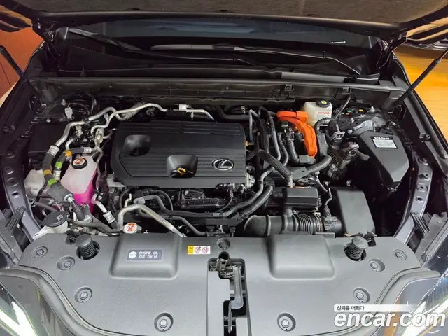 Lexus NX 2023 2.5 вариатор, миниатюра 6 Lexus NX 2023 2.5 вариатор, миниатюра 6