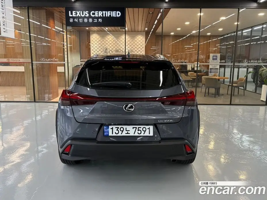 Lexus UX 2026 2.0 вариатор, фото 4 Lexus UX 2026 2.0 вариатор, фото 4