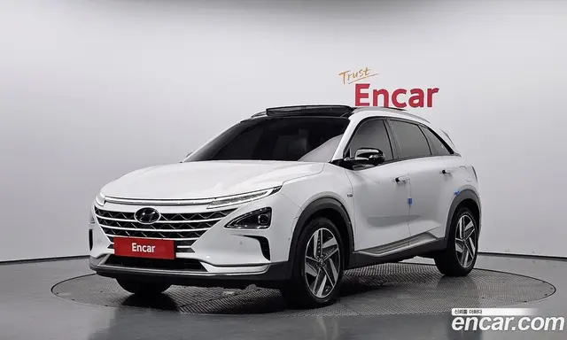 Hyundai Nexo, 2020, 116 290 км