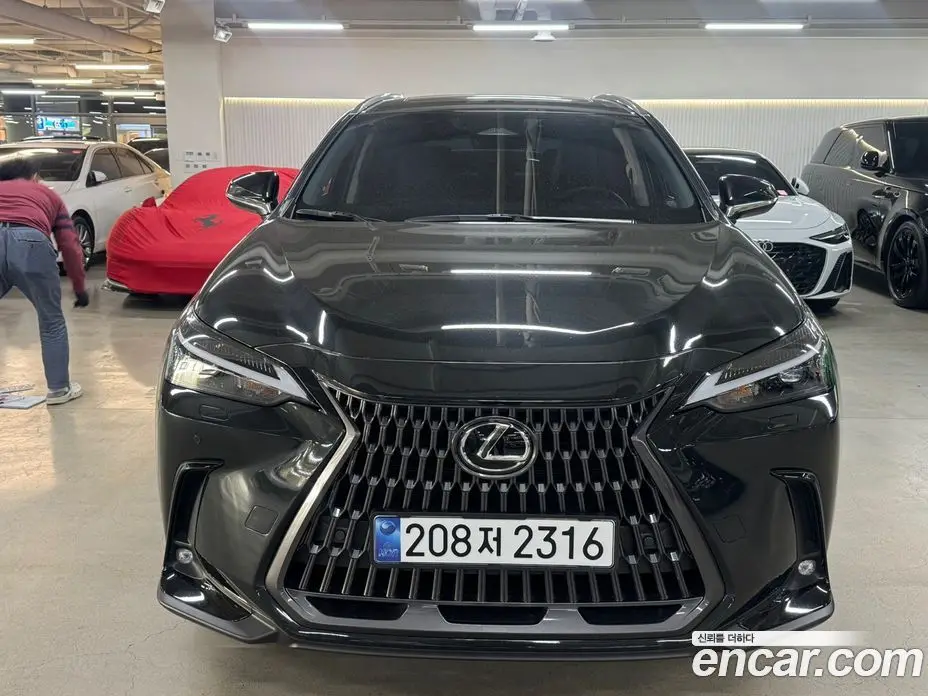 Lexus NX 2026 2.5 АКПП, фото 1 Lexus NX 2026 2.5 АКПП, фото 1