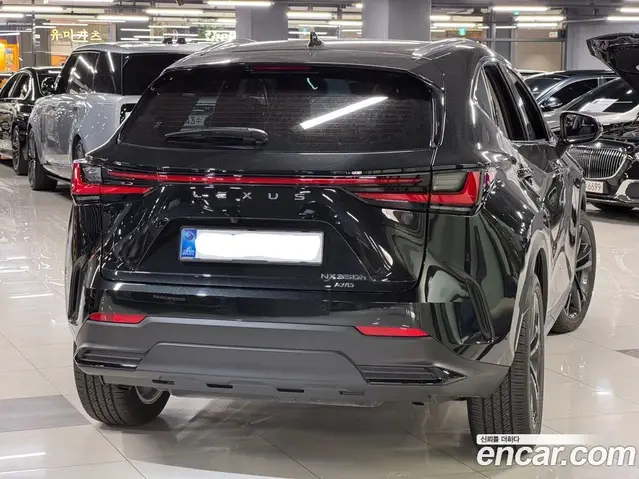 Lexus NX 2026 2.5 АКПП, миниатюра 3 Lexus NX 2026 2.5 АКПП, миниатюра 3