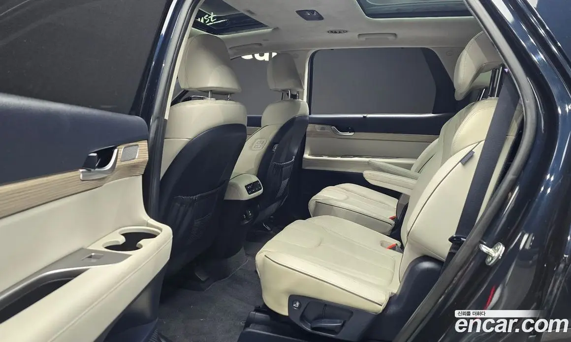 Hyundai Palisade 2019 3.8 АКПП, фото 18