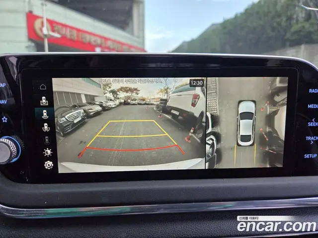 Hyundai Sonata 2019 2.0 АКПП, миниатюра 8