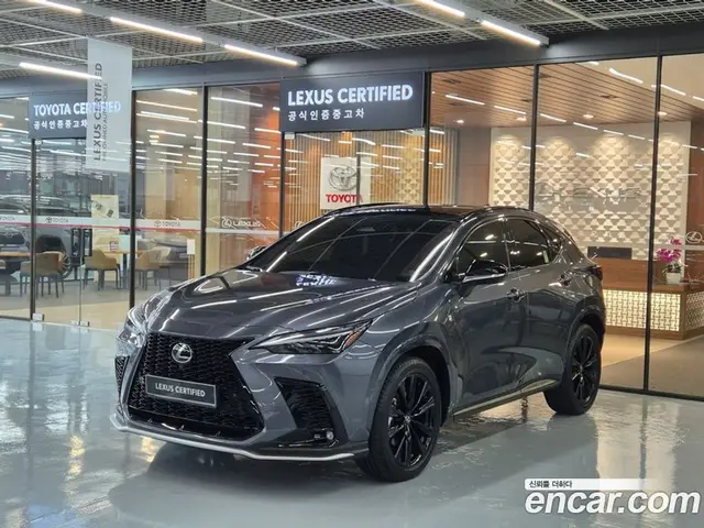 Lexus NX, 2025, 11 321 км