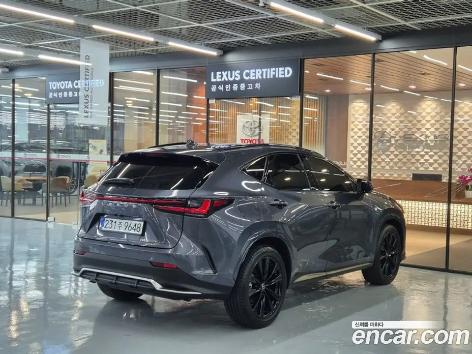 Lexus NX 2025 2.5 вариатор, фото 2 Lexus NX 2025 2.5 вариатор, фото 2