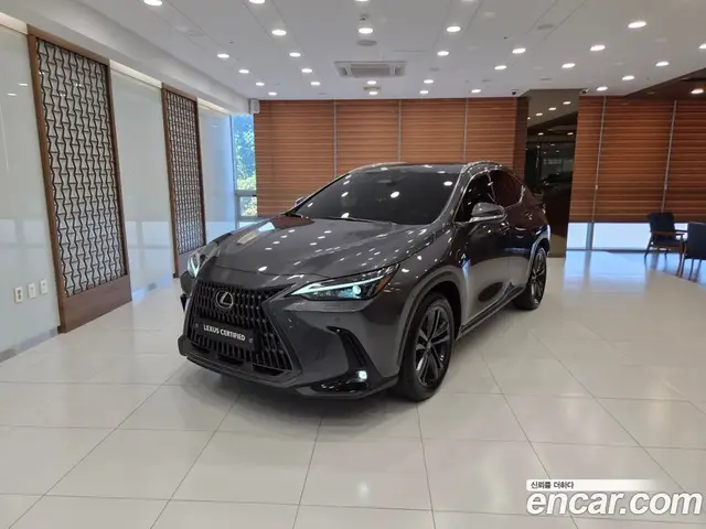 Lexus NX, 2026, 17 669 км
