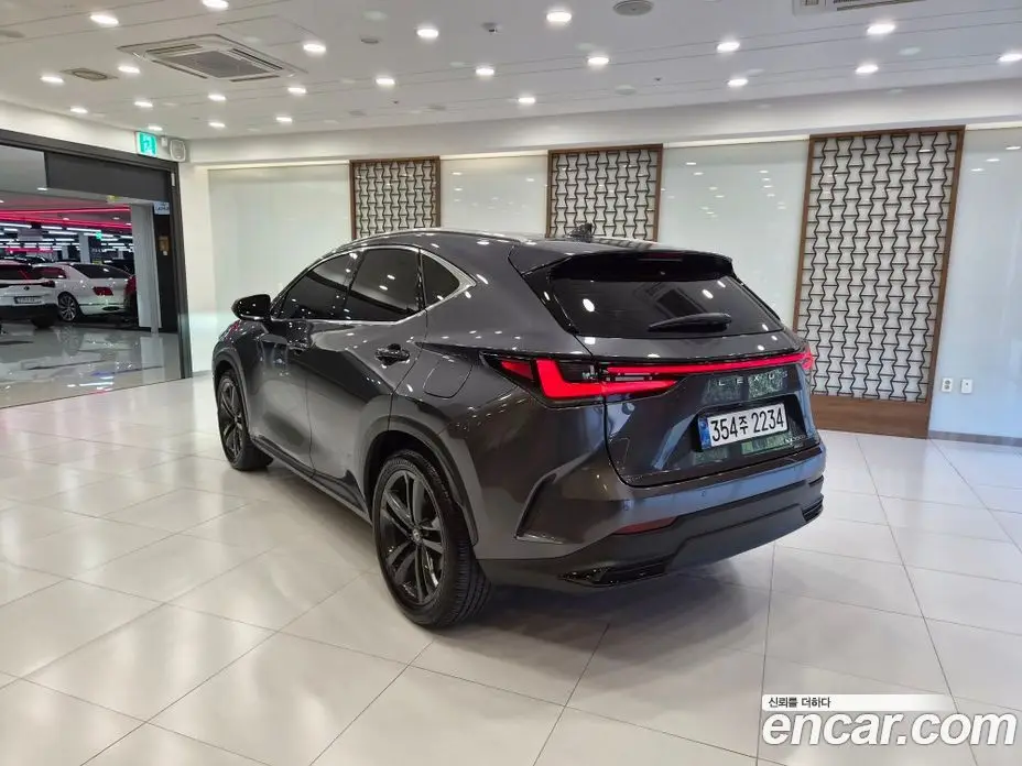 Lexus NX 2026 2.5 вариатор, фото 2 Lexus NX 2026 2.5 вариатор, фото 2