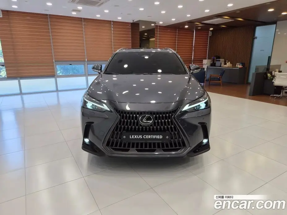 Lexus NX 2026 2.5 вариатор, фото 3 Lexus NX 2026 2.5 вариатор, фото 3