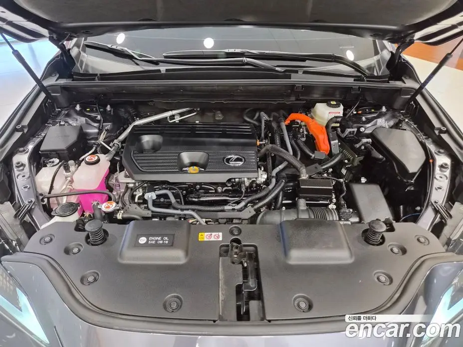 Lexus NX 2026 2.5 вариатор, фото 6 Lexus NX 2026 2.5 вариатор, фото 6