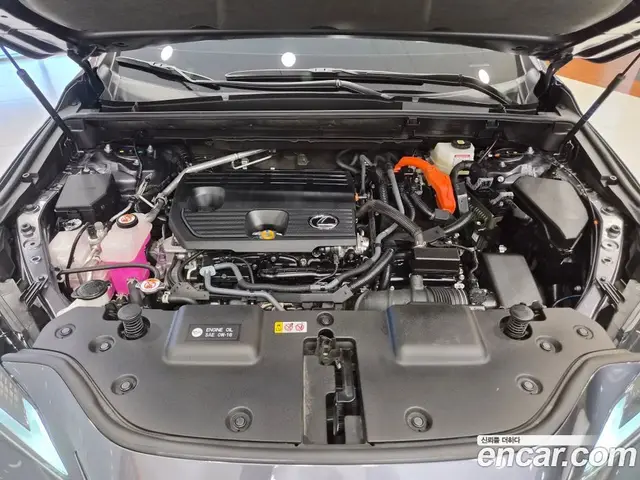 Lexus NX 2026 2.5 вариатор, миниатюра 6 Lexus NX 2026 2.5 вариатор, миниатюра 6