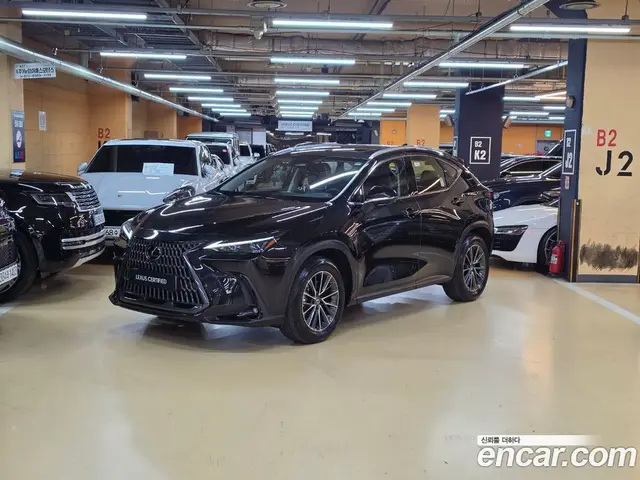 Lexus NX, 2025, 3 553 км