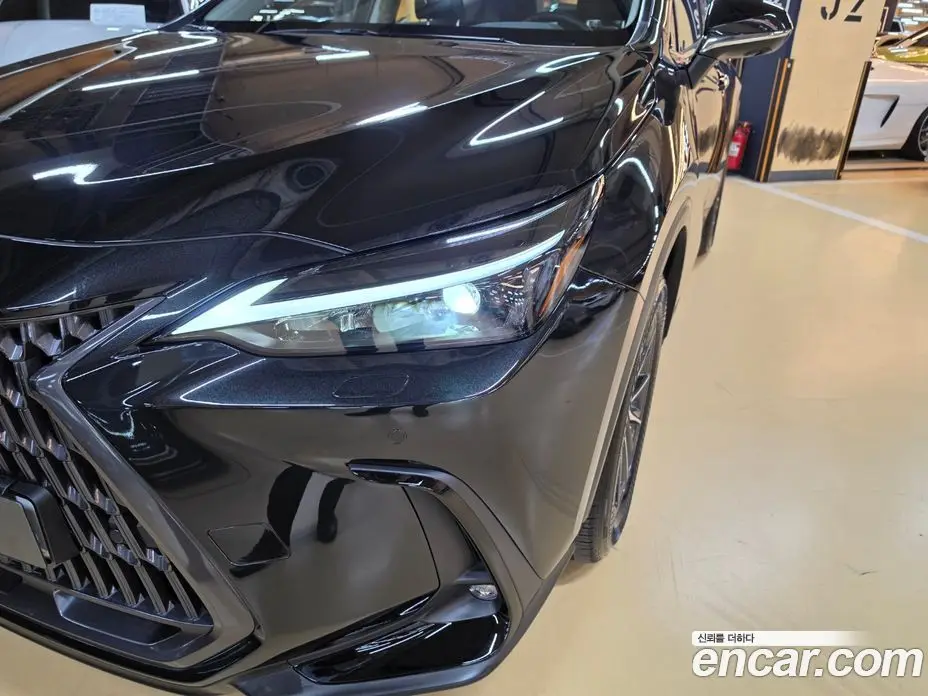 Lexus NX 2025 2.5 вариатор, фото 16 Lexus NX 2025 2.5 вариатор, фото 16