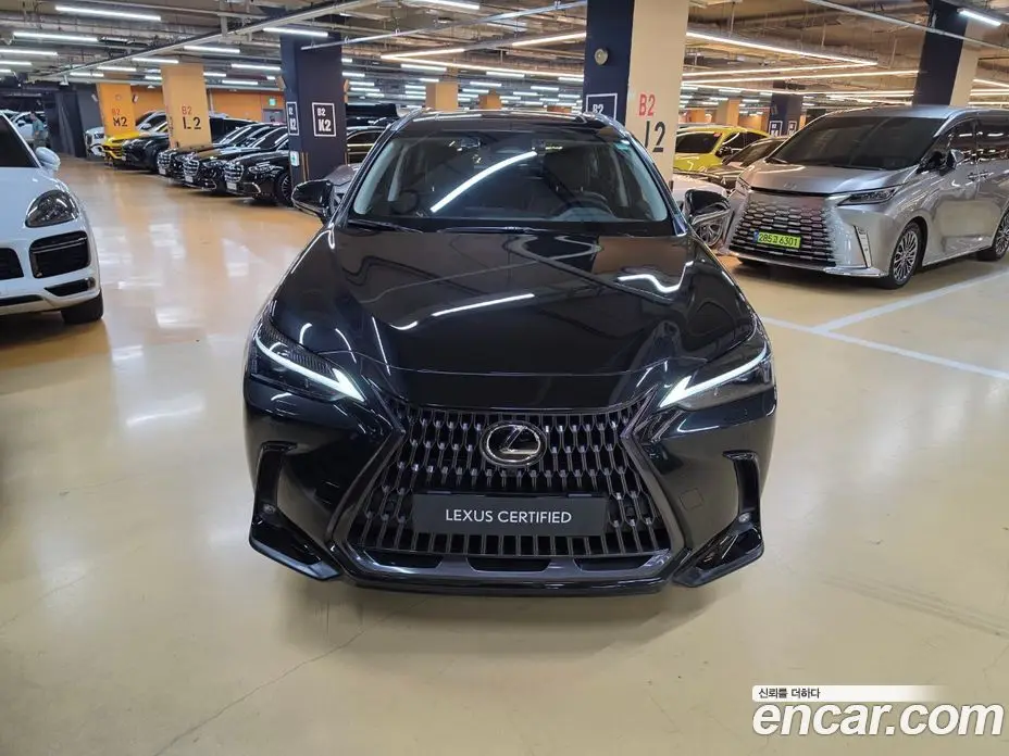 Lexus NX 2025 2.5 вариатор, фото 3 Lexus NX 2025 2.5 вариатор, фото 3