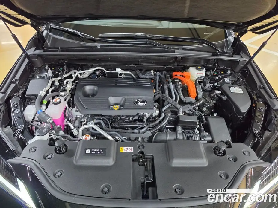 Lexus NX 2025 2.5 вариатор, фото 6 Lexus NX 2025 2.5 вариатор, фото 6