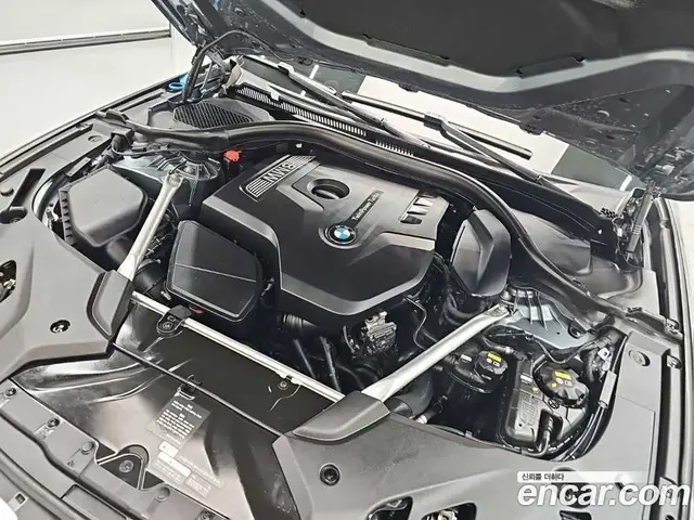 BMW 5 серия 2019 2.0 АКПП, миниатюра 5