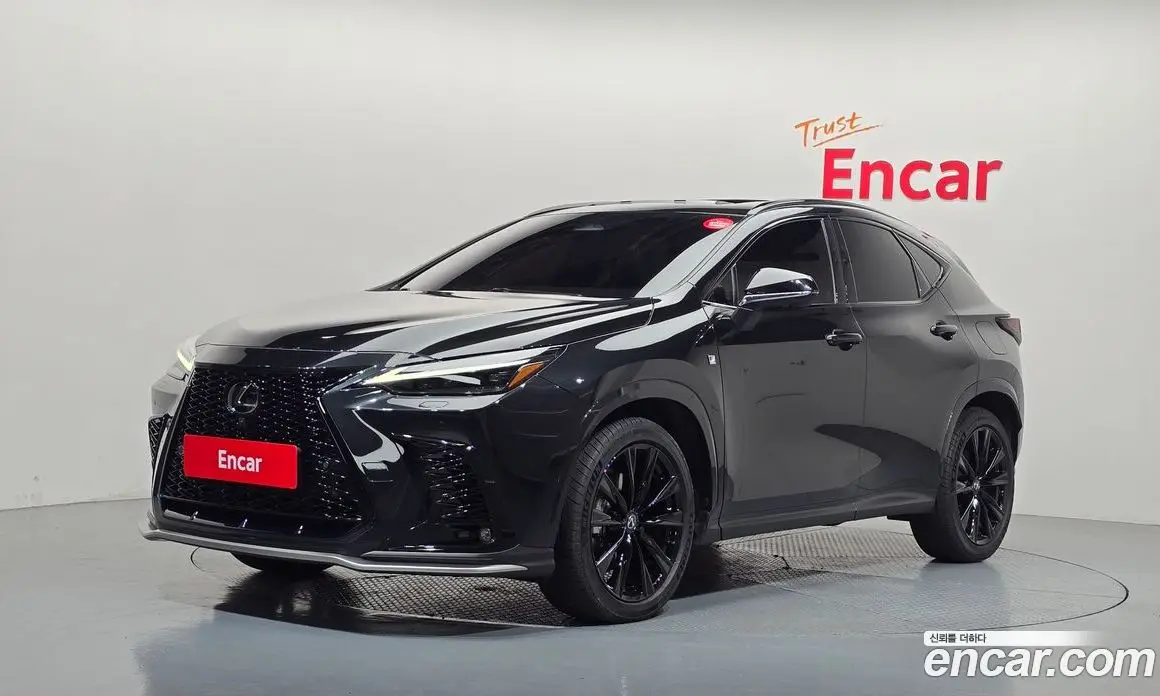 Lexus NX 2023 2.5 АКПП, фото 1 Lexus NX 2023 2.5 АКПП, фото 1