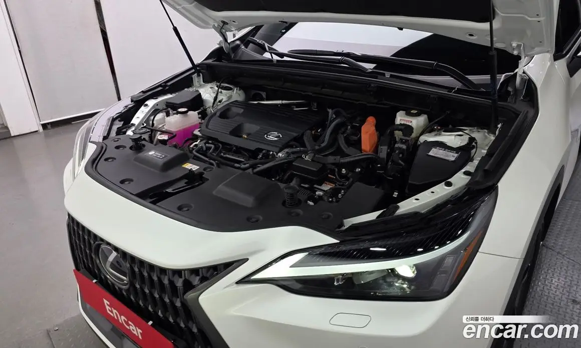 Lexus NX 2025 2.5 АКПП, фото 6