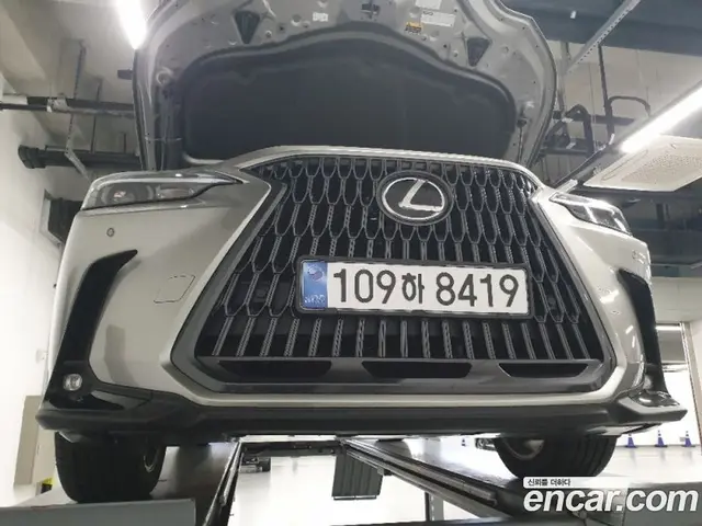 Lexus NX, 2026, 3 587 км